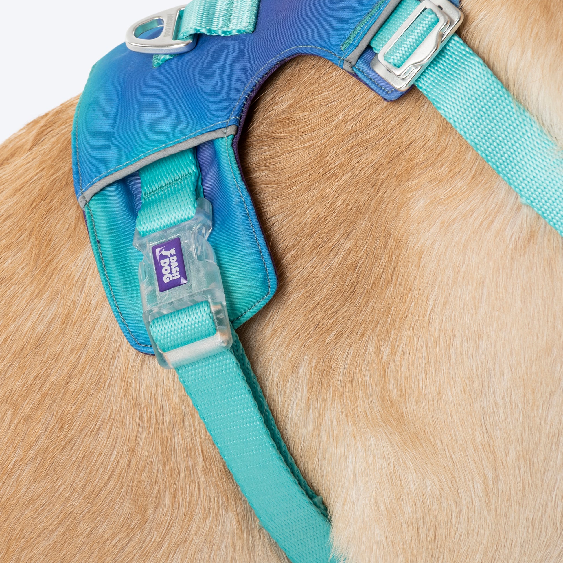 Dash Dog Seafoam Storm Outdoor Ease Harness For Dog - Aqua Blue_11