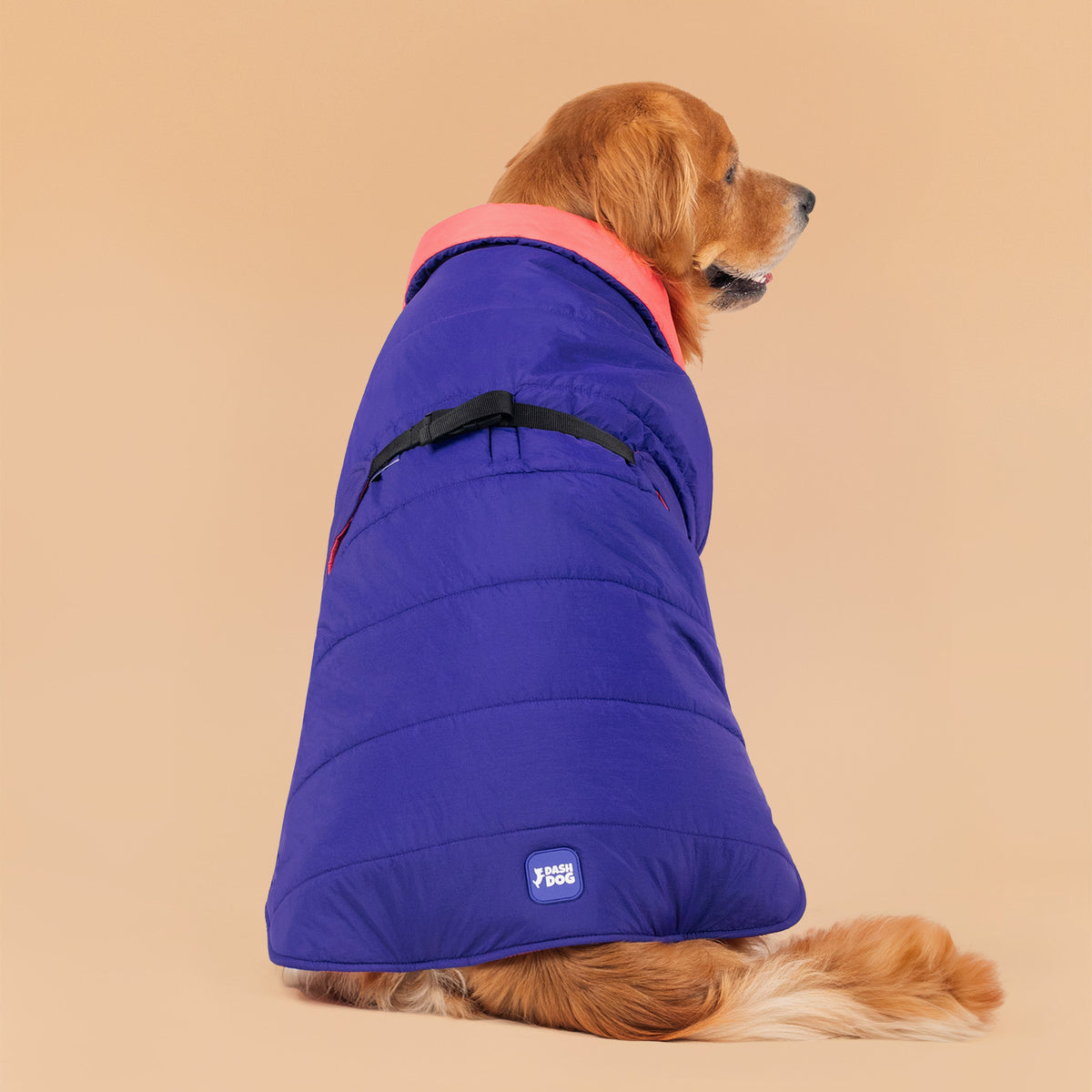 Dash Dog Swift Strides Puffer Jacket For Dog - Purple & Pink, Leash Opening