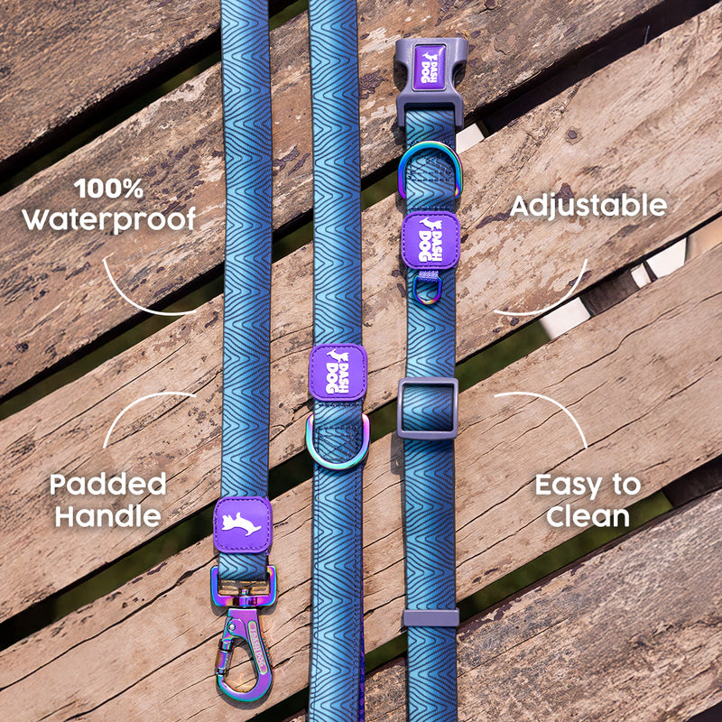 Dash_Dog_Trail_Tails_Waterproof_Dog_Collar_Leash_Set_-_Blue_02