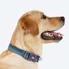 Dash_Dog_Trail_Tails_Waterproof_Dog_Collar_Leash_Set_-_Blue_07