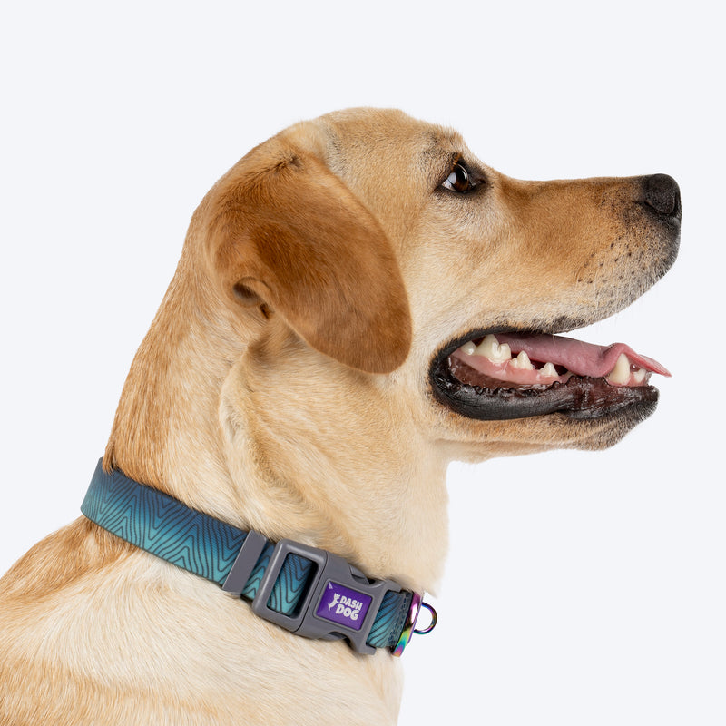 Dash_Dog_Trail_Tails_Waterproof_Dog_Collar_Leash_Set_-_Blue_07