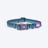Dash_Dog_Trail_Tails_Waterproof_Dog_Collar_Leash_Set_-_Blue_14