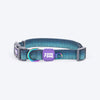 Dash_Dog_Trail_Tails_Waterproof_Dog_Collar_Leash_Set_-_Blue_15