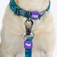 Dash_Dog_Wild_Ridge_Waterproof_Dog_Collar_Leash_Set_-_Green_05