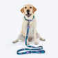 Dash_Dog_Wild_Ridge_Waterproof_Dog_Collar_Leash_Set_-_Green_07
