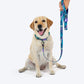 Dash_Dog_Wild_Ridge_Waterproof_Dog_Collar_Leash_Set_-_Green_08