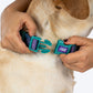 Dash_Dog_Wild_Ridge_Waterproof_Dog_Collar_Leash_Set_-_Green_11