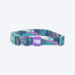 Dash_Dog_Wild_Ridge_Waterproof_Dog_Collar_Leash_Set_-_Green_15