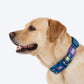 Dash Dog Wildcrest Padded Collar For Dog - Blue & Neon Green_04