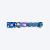 Dash_Dog_Wildcrest_Padded_Collar_For_Dog_-_Blue_Neon_Green_09