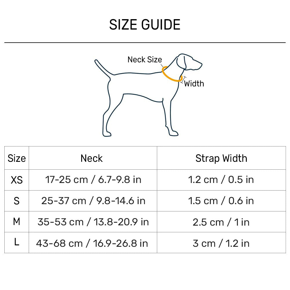 Dash_Dog_Wildcrest_Padded_Collar_For_Dog_-_Blue_Neon_Green_14