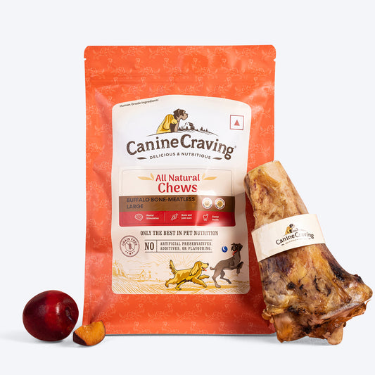 Canine Craving Meatless Buffalo Bone Chew Dog Treat Large - 1 Piece - 400g - Heads Up For Tails