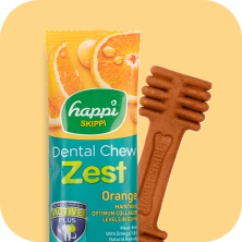 Dental Chew