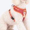 HUFT Teddy Adjustable Harness For Dog - Red