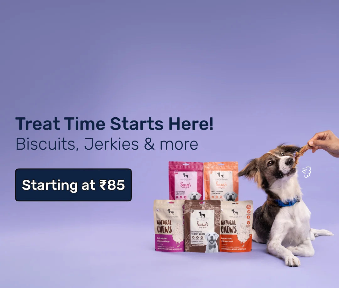 Treats for Dogs