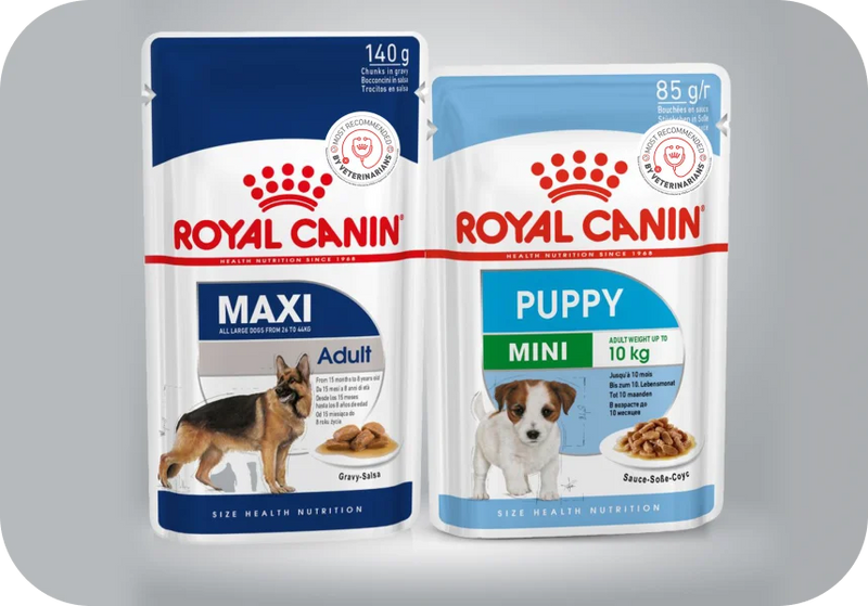Wet Dog Food