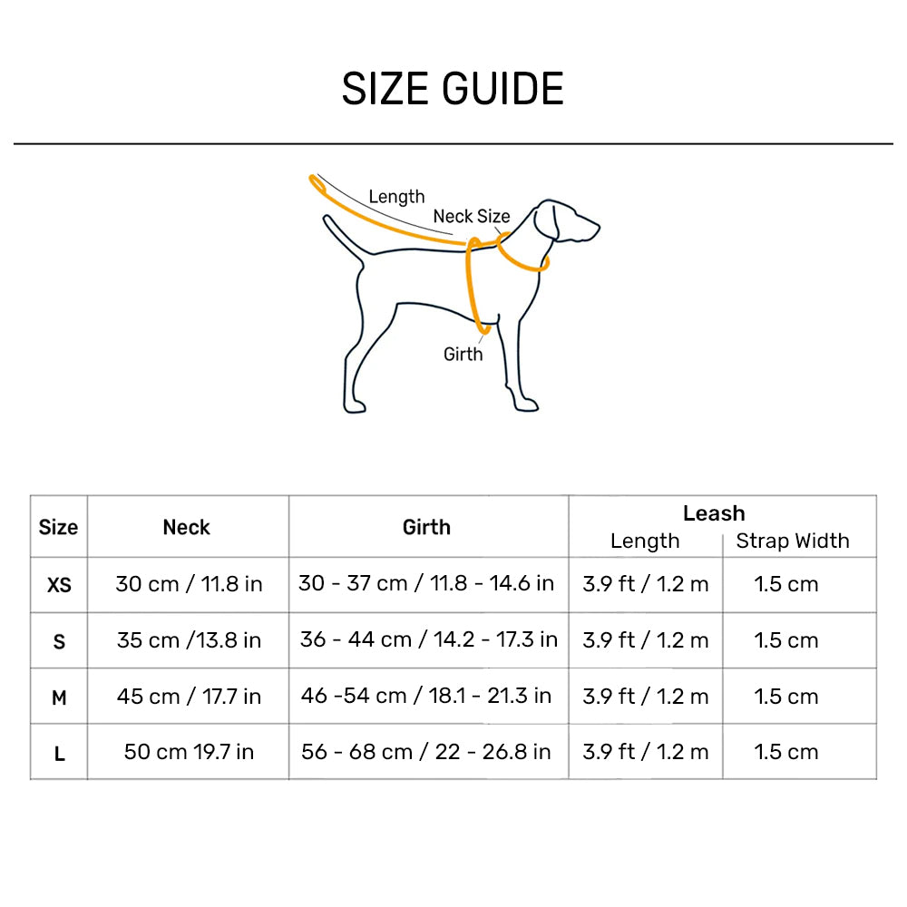 HUFT Free Flow Step-In Harness & Leash Set For Dog - Geomatrix Blue - Heads Up For Tails