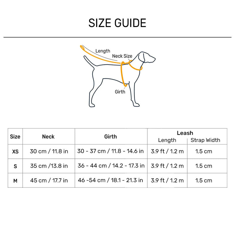 HUFT Free Flow Step-In Harness and Leash Set For Dog - Mint Sky - Heads Up For Tails