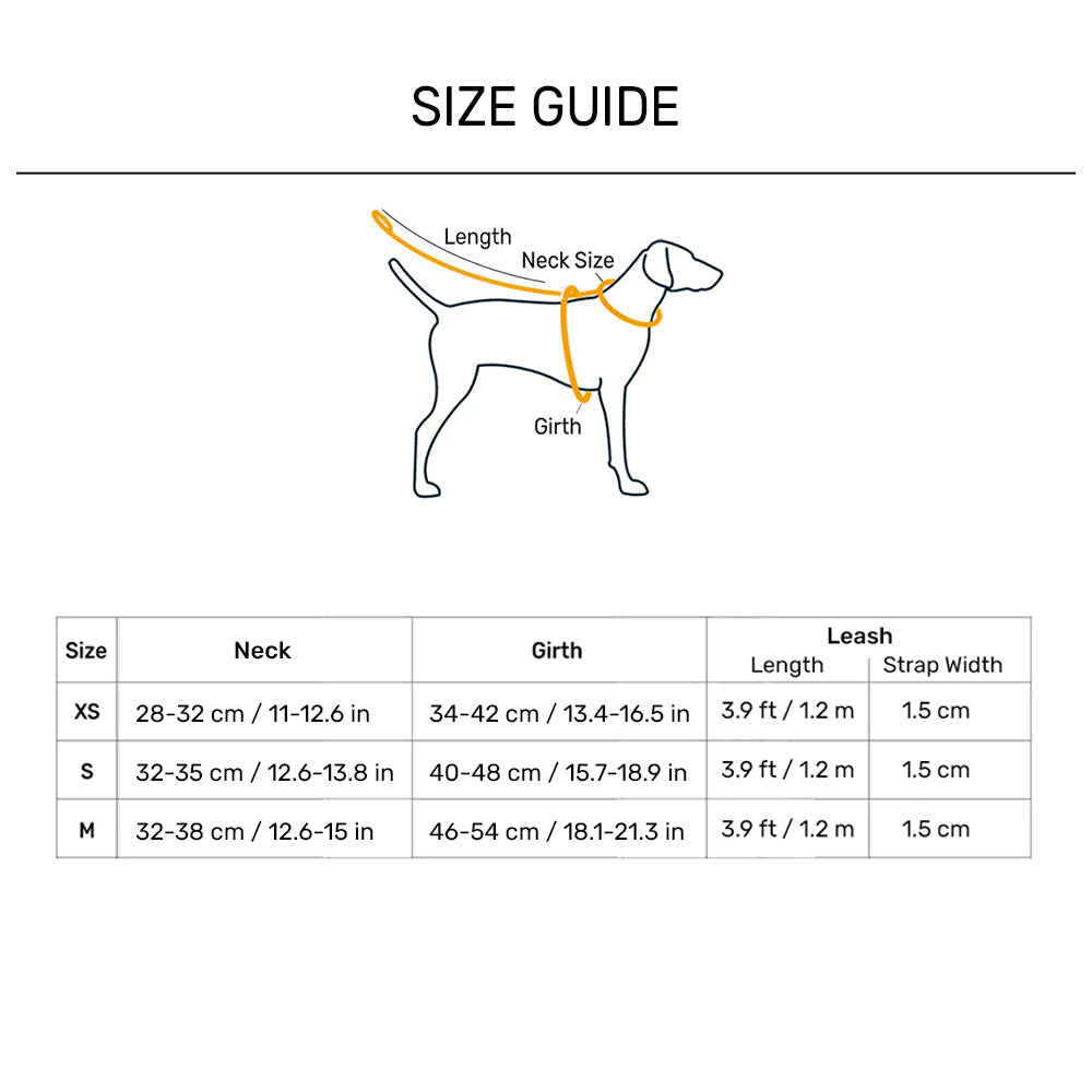 HUFT Slip & Stroll Harness & Leash Set For Dog - Red Romance - Heads Up For Tails