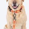 HUFT Teddy Collar For Dog - Red