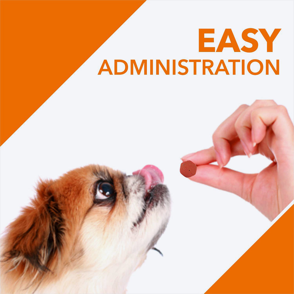 Drools Absolute Immunity Chewable Dog Supplement Tablets - Heads Up For Tails