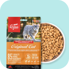 Dry Food