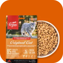Dry Food