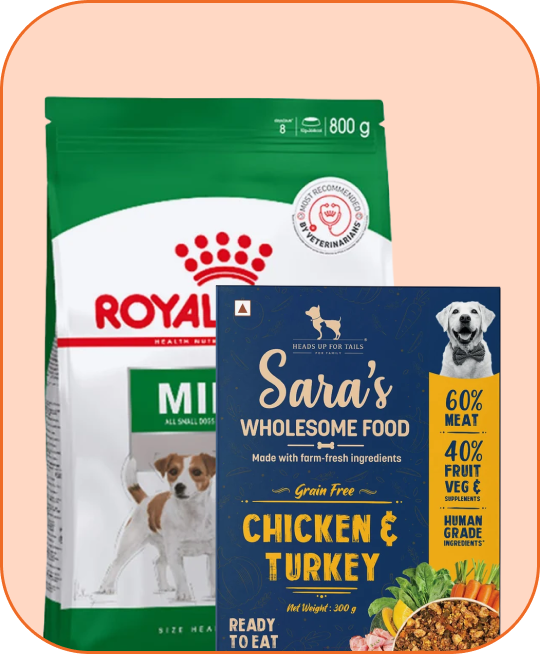 Dog Food
