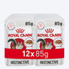 Royal Canin Instinctive Wet Cat Food - 85 g packs - Heads Up For Tails