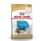Royal Canin Shih Tzu Puppy Dry Dog Food - 1.5 kg