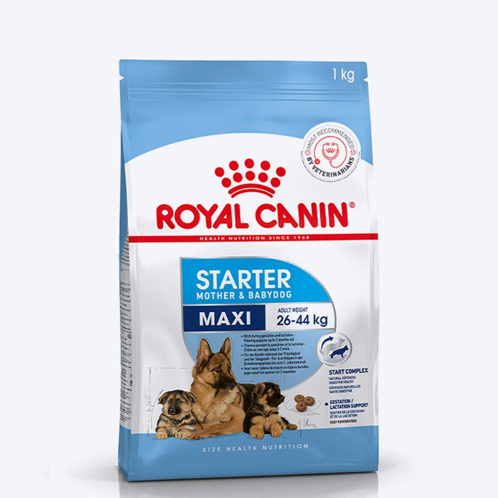 Royal Canin Maxi Starter Dry Dog Food