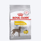 Royal Canin Maxi Dermacomfort Dry Food For Dog - 3 kg