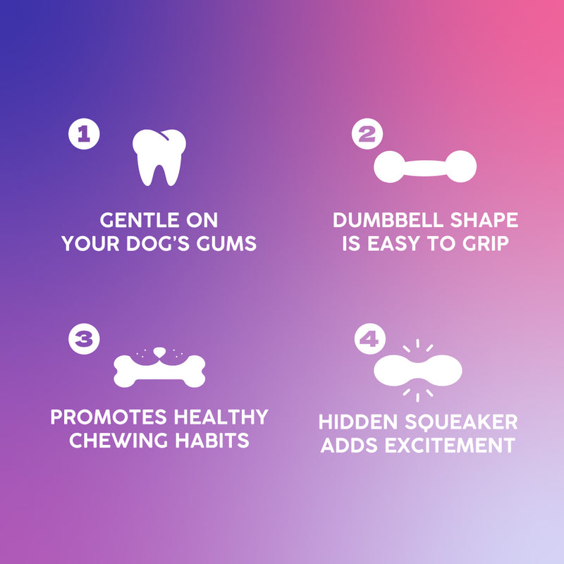 Dash Dog Gnaw & Go Squeaky Toy For Dog - Purple & Blue - Heads Up For Tails