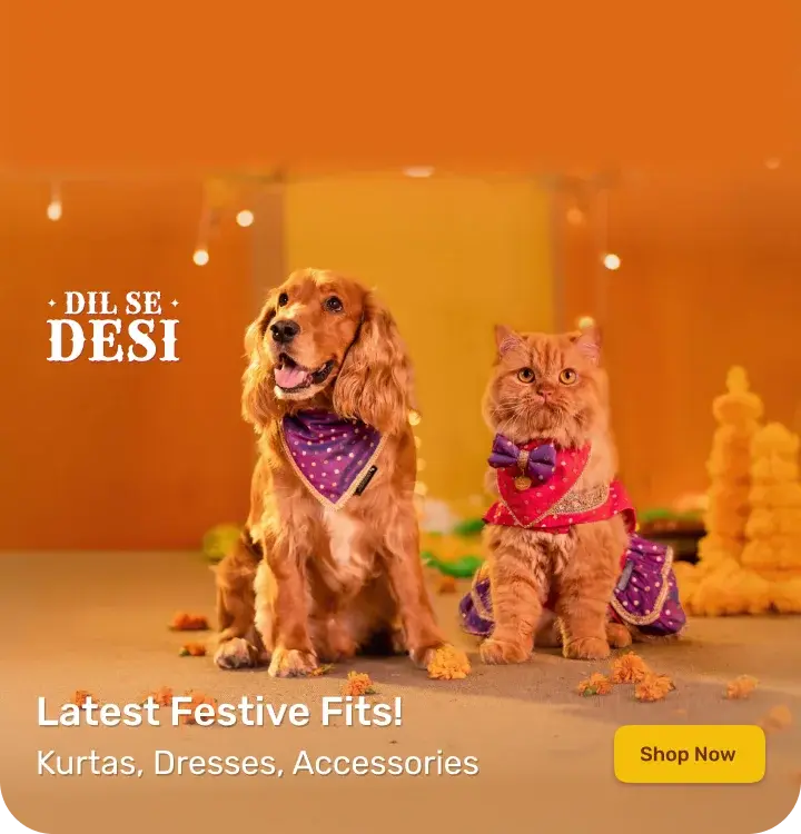 HUFT Festive Collection