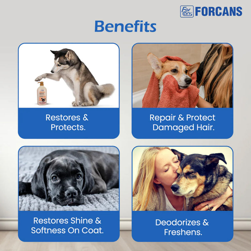 Forcans Short Coat Aloe Dog Shampoo - Heads Up For Tails