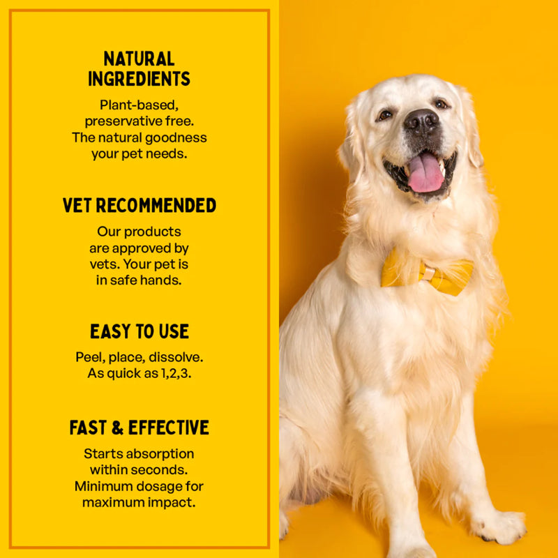 Furlicks Skin & Coat Maple Syrup Pet Oral Food Supplement - 45g (30 Strips) - Heads Up For Tails