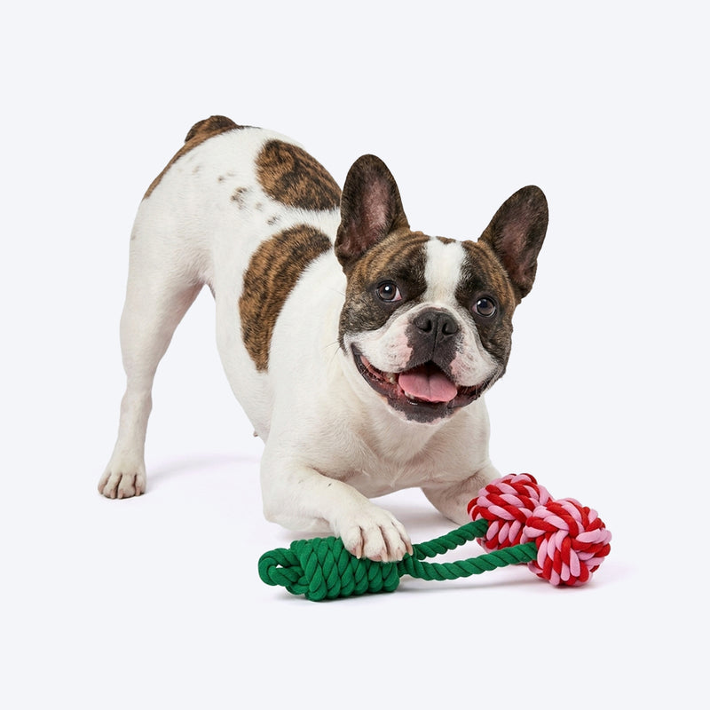 HUFT Cherrylicious Rope Toy For Dog - Multicolor