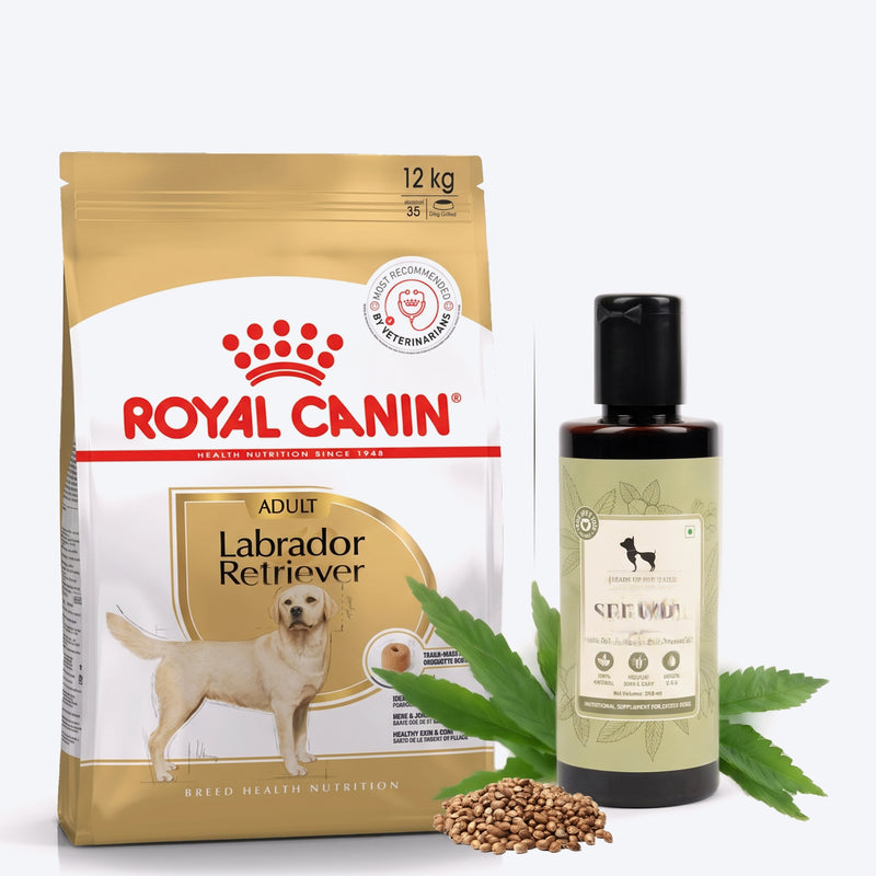 Royal Canin Labrador Retriever Adult Dry Dog Food