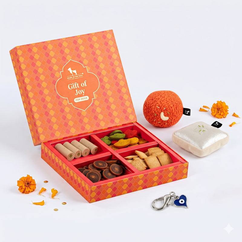 HUFT Gift of Joy Diwali Celebration Combo For Dogs