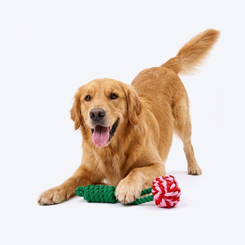 HUFT Cherrylicious Rope Toy For Dog - Multicolor