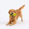 HUFT Avocadoggo Plush Toy With Ball For Dog - Green