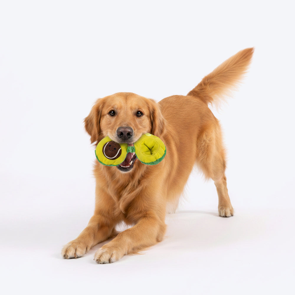 HUFT Avocadoggo Plush Toy With Ball For Dog - Green