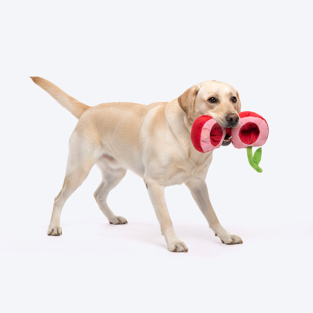 HUFT Cherrylicious Plush Toy With Ball For Dog - Red