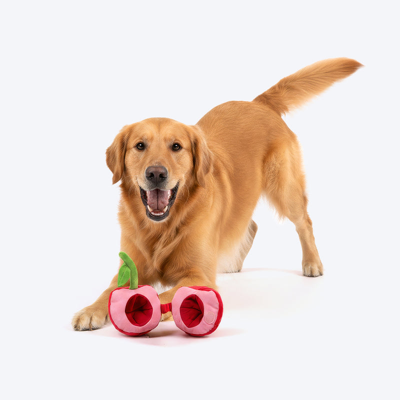 HUFT Cherrylicious Plush Toy With Ball For Dog - Red