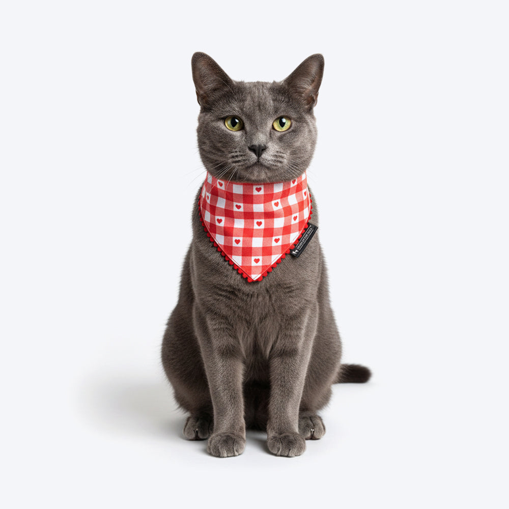 HUFT Jingle Hearts Scarf For Pets - Red & White