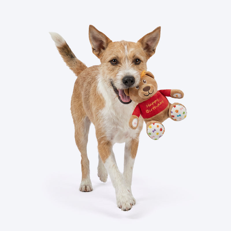 HUFT Barkday Bear Plush Toy For Dog - Multicolor