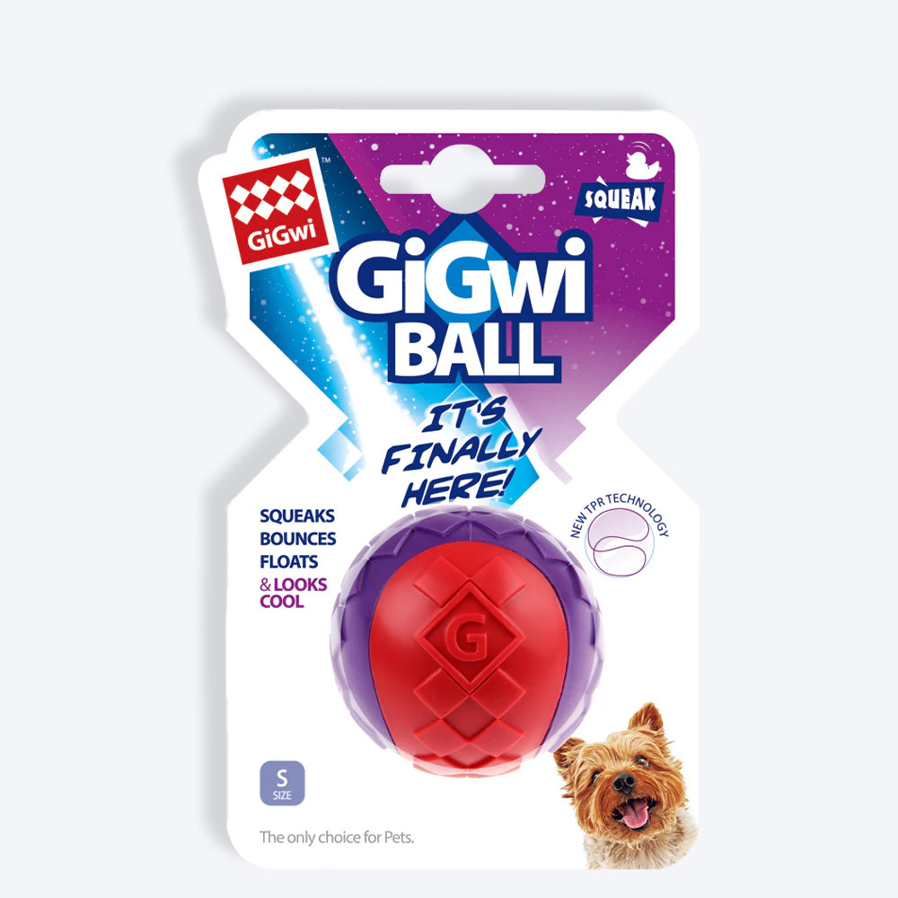 GiGwi Ball Squeaker - Medium - Pack of 2 - Heads Up For Tails