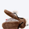 GiGwi Melody Chaser with Motion Activated Sound Chip Cat Toy - Cricket - Heads Up For Tails