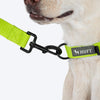 HUFT Basics Dog Collar - Neon Green - Heads Up For Tails