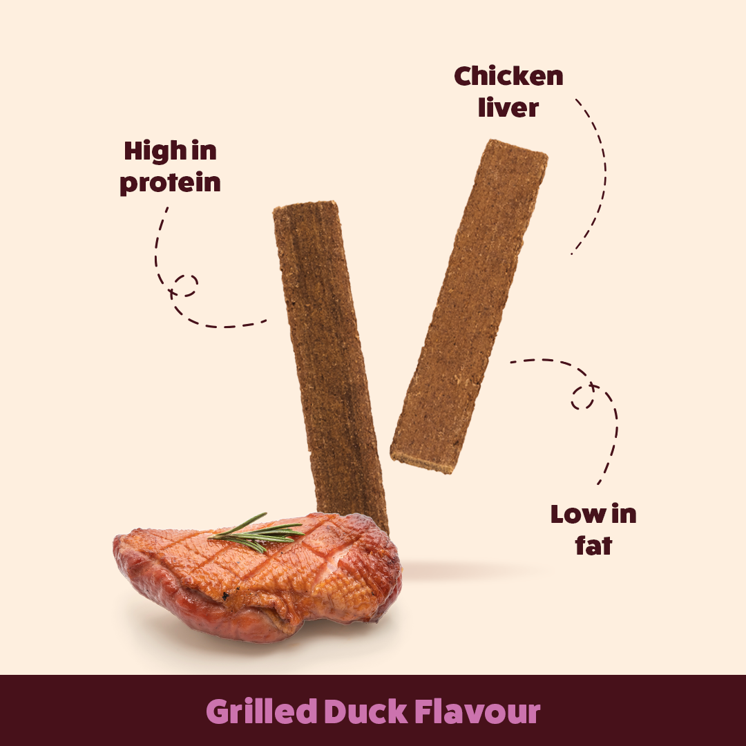 HUFT Wholesome Chicken, Brown Rice Food & Grilled Duck Treats Combo For Dog